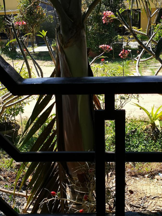 Cam Nam Homestay Hoi An Esterno foto