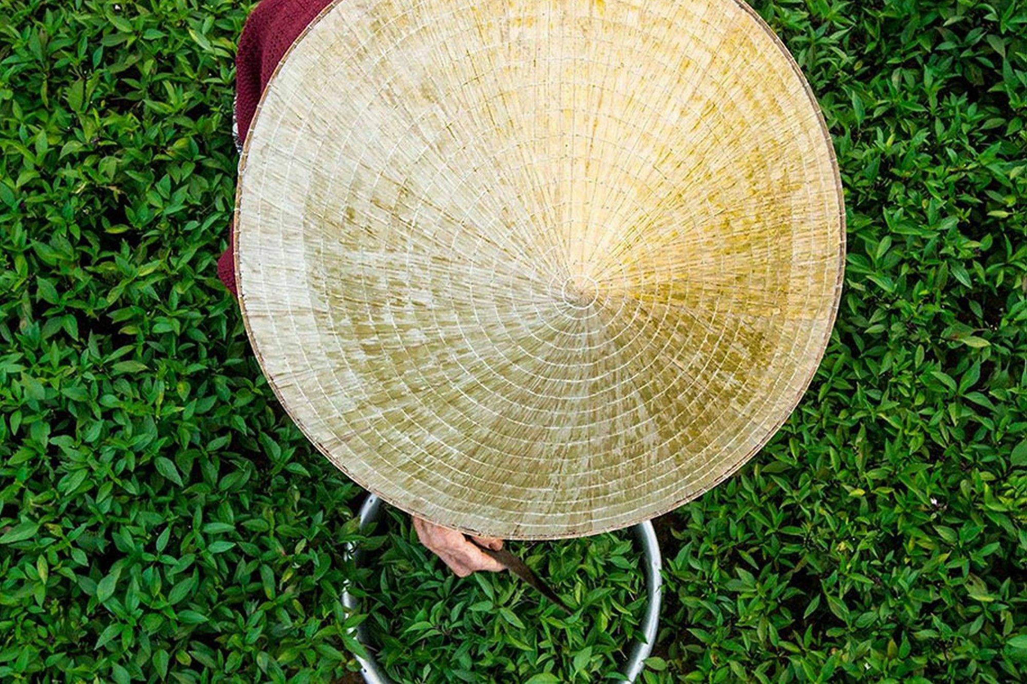 Cam Nam Homestay Hoi An Esterno foto