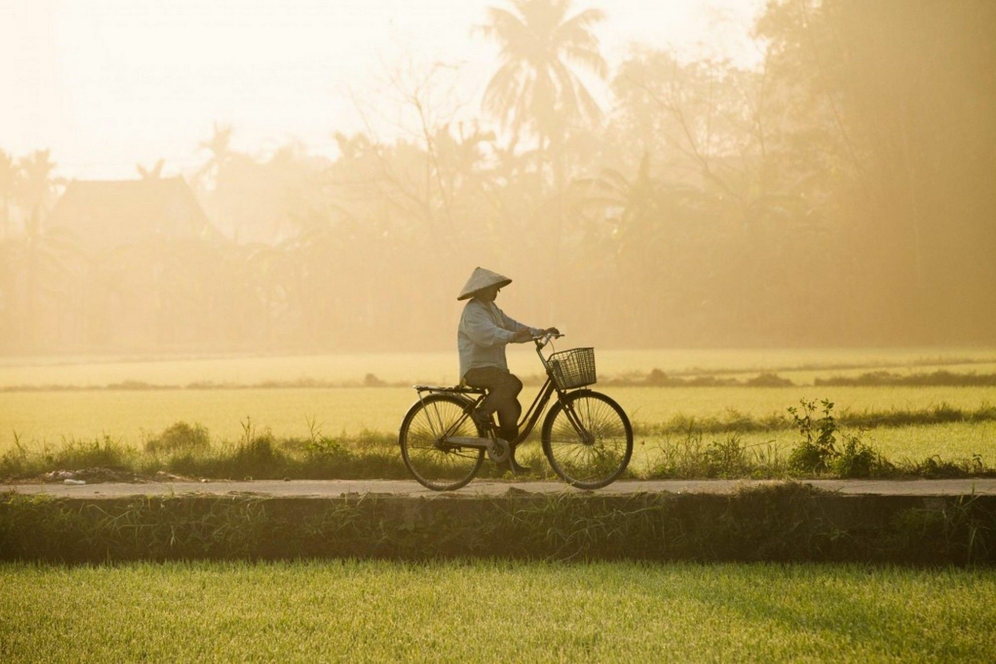 Cam Nam Homestay Hoi An Esterno foto